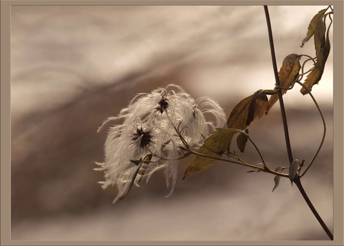 �������� ����� ������  �� PhotoGeek.ru #������ ��� �������