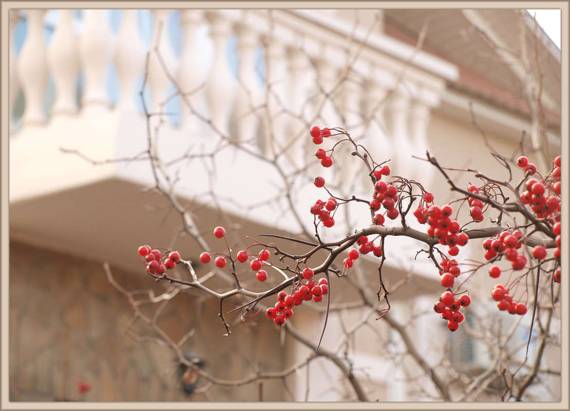 ��� �������� ����� ������  �� PhotoGeek.ru #������ ��� �������