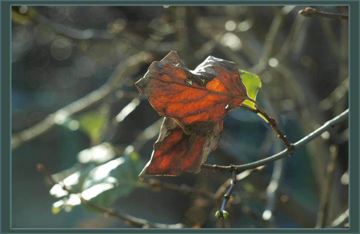 ��������, ������� � ����� ����� ������  �� PhotoGeek.ru #������ ��� �������