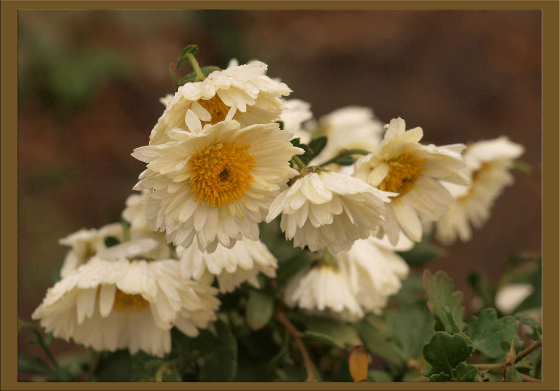 �������� ������� ����� ������  �� PhotoGeek.ru #������ ��� �������