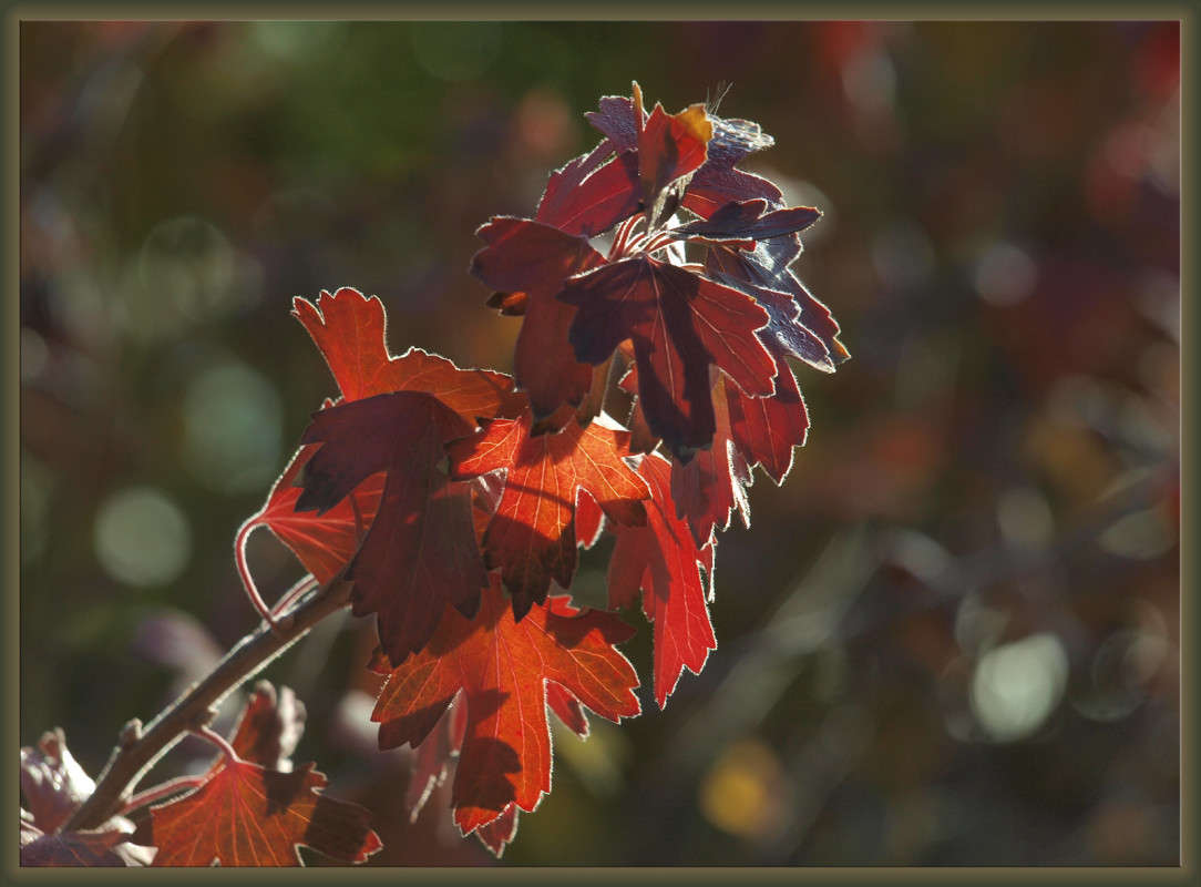 ���������� ������ 2 ����� ������  �� PhotoGeek.ru #������ ��� �������