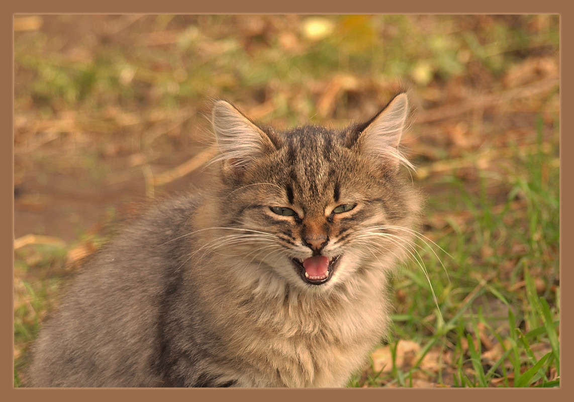 ��������� ����� ������  �� PhotoGeek.ru #�������� ���