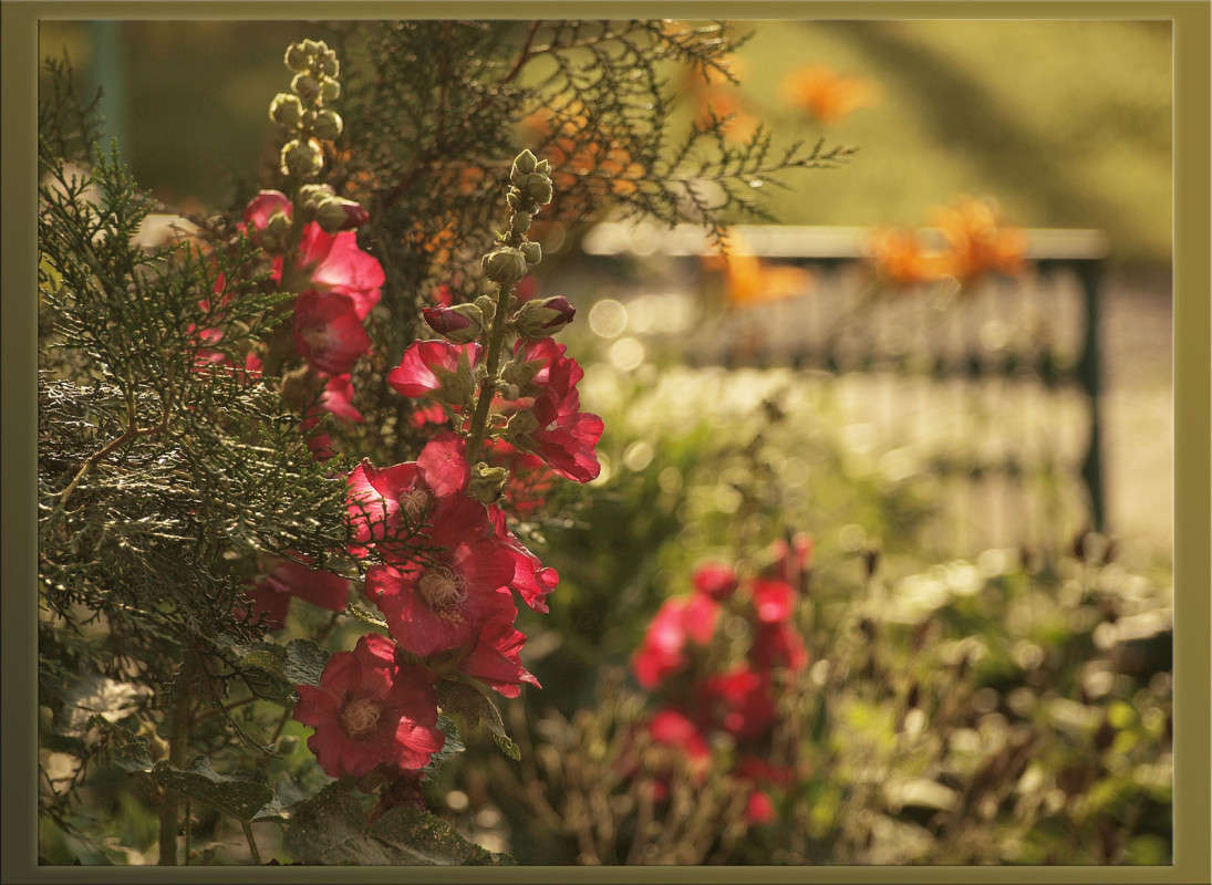 ����� ��� �� ���������� ���� ����� ������  �� PhotoGeek.ru #������ ��� �������