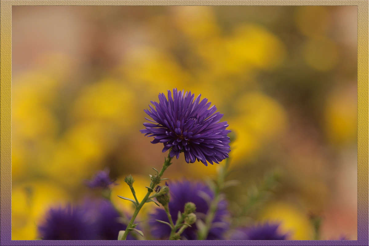 �������� � ������ ����� ������  �� PhotoGeek.ru #������ ��� �������