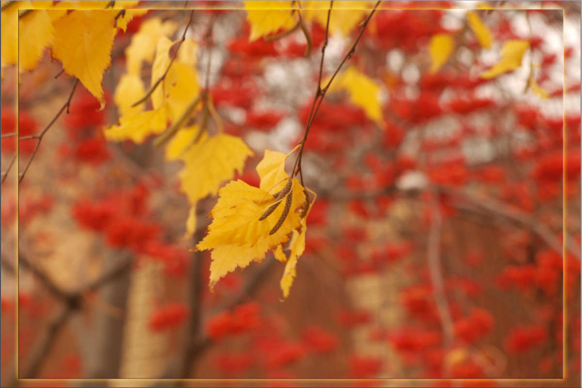 �������� � ������ 2 ����� ������  �� PhotoGeek.ru #������ ��� �������