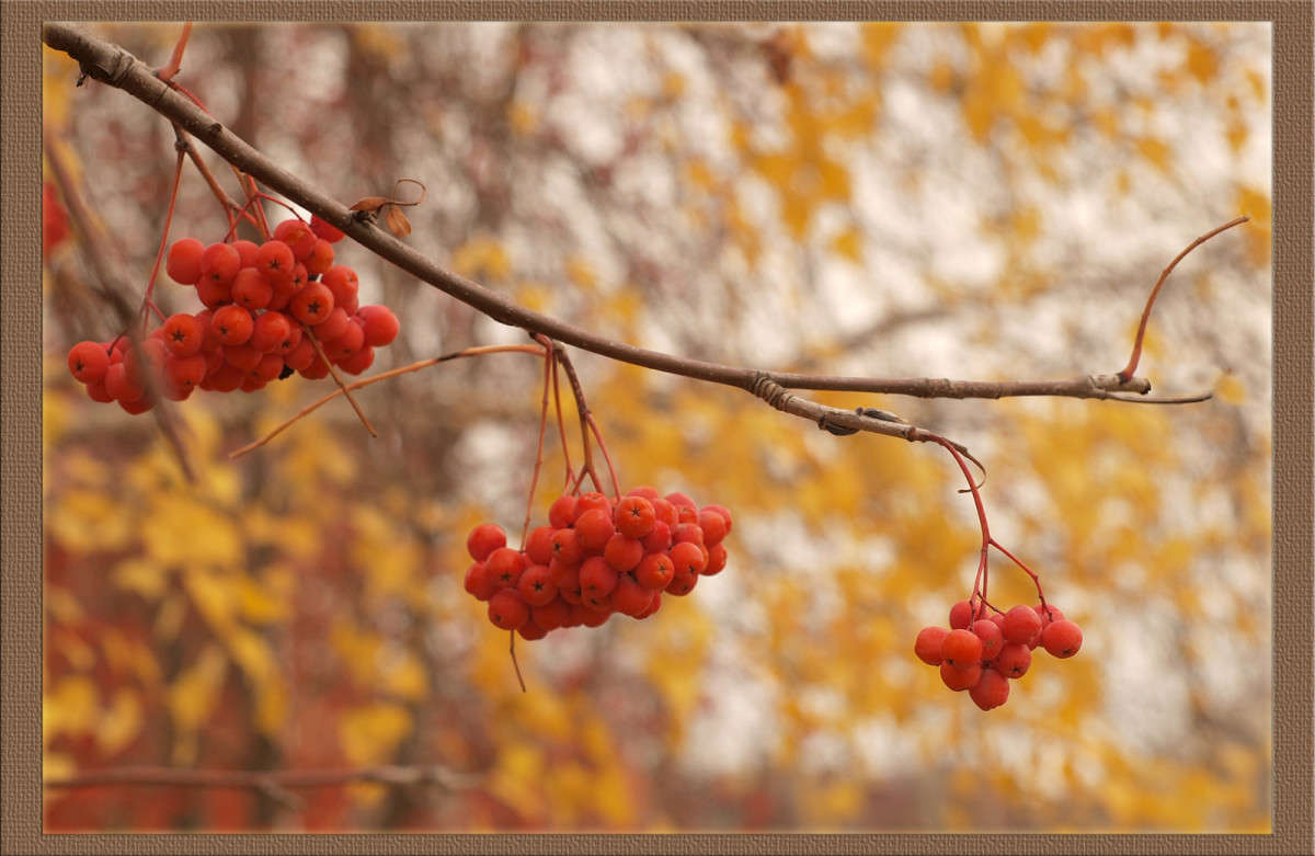 ... ����� ������  �� PhotoGeek.ru #������ ��� �������