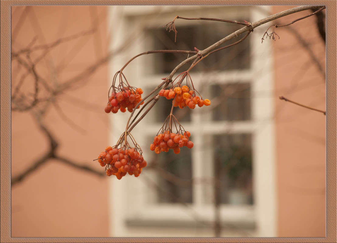 �������� � ������ 4 ����� ������  �� PhotoGeek.ru #������ ��� �������