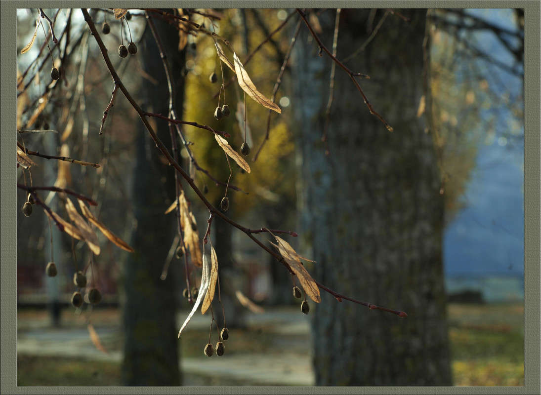 ������� ������ ����� ������  �� PhotoGeek.ru #������ ��� �������