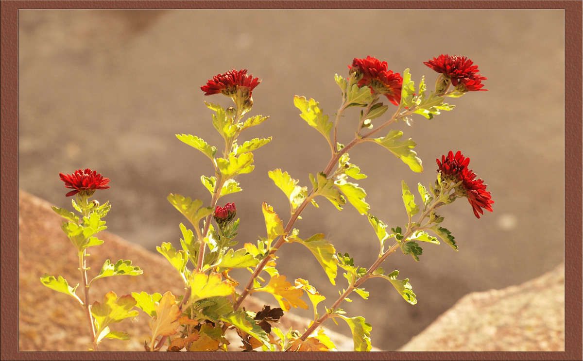 ���������� ������ 3 ����� ������  �� PhotoGeek.ru #������ ��� �������