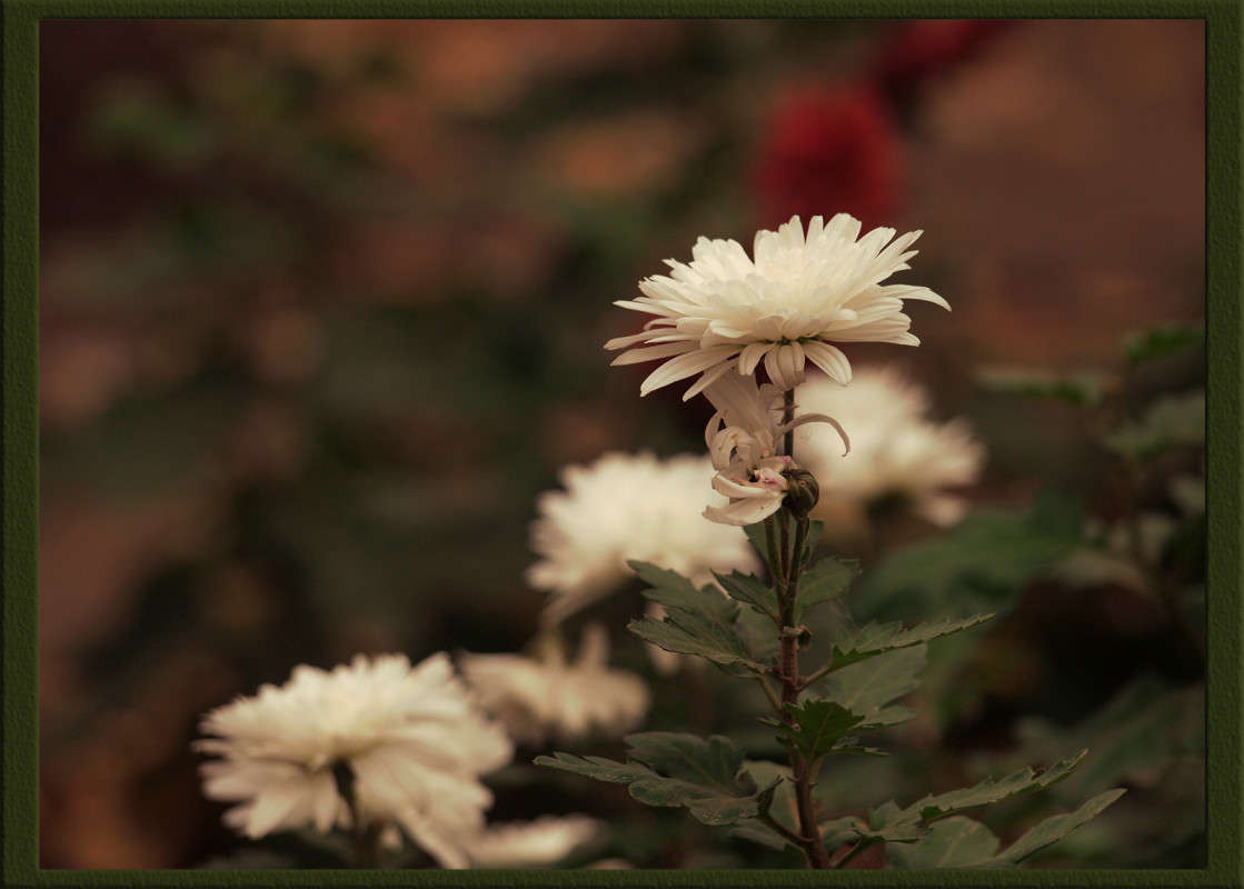 ��������� 2 ����� ������  �� PhotoGeek.ru #������ ��� �������