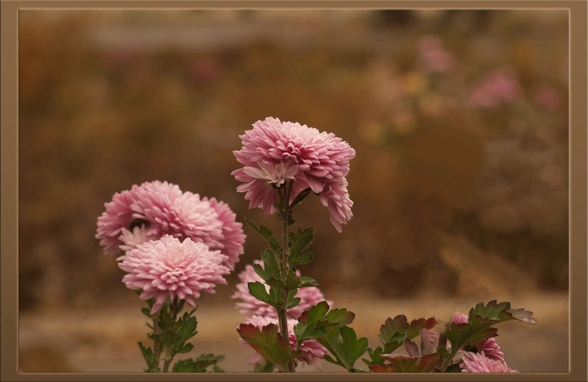 ��������� ����� ������  �� PhotoGeek.ru #������ ��� �������