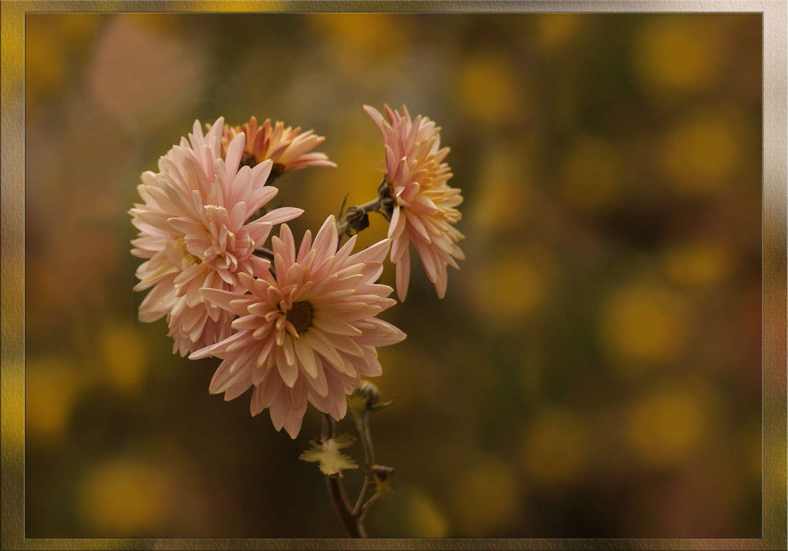 ��������� 3 ����� ������  �� PhotoGeek.ru #������ ��� �������