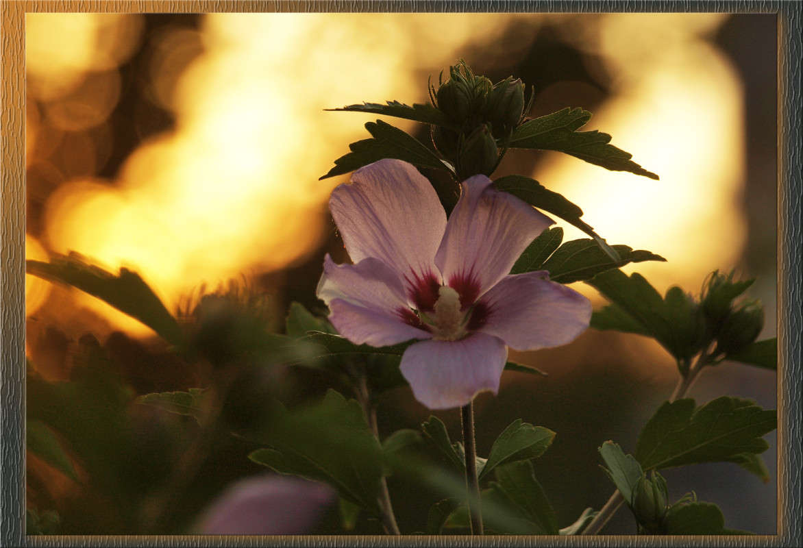 ����� ��� �� ���������� ���� 2 ����� ������  �� PhotoGeek.ru #������ ��� �������