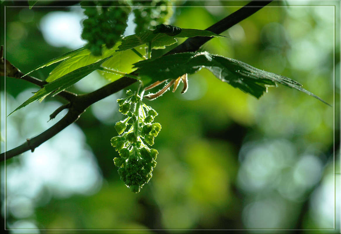 ������ ������ ����� ������  �� PhotoGeek.ru #������ ��� �������