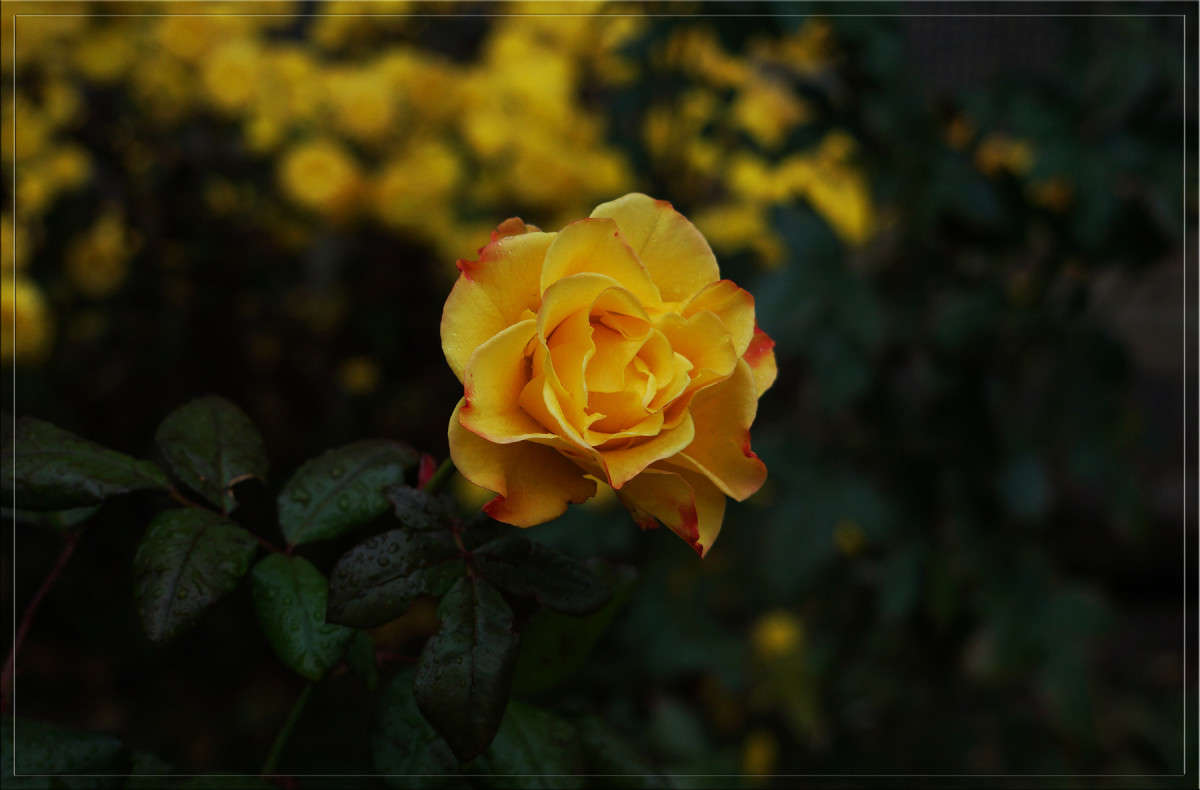 ����������� ���� � ������ ����� ������  �� PhotoGeek.ru #������ ��� �������