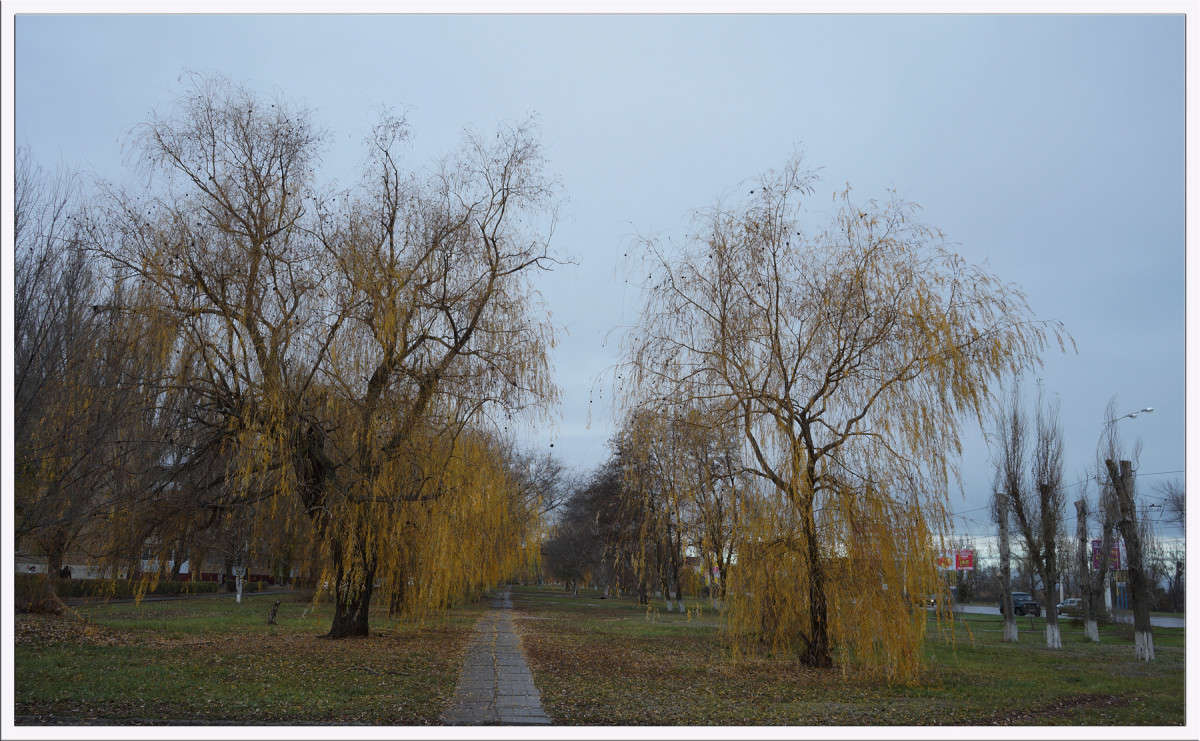 ������� ����� ������� ����� ������  �� PhotoGeek.ru #�����