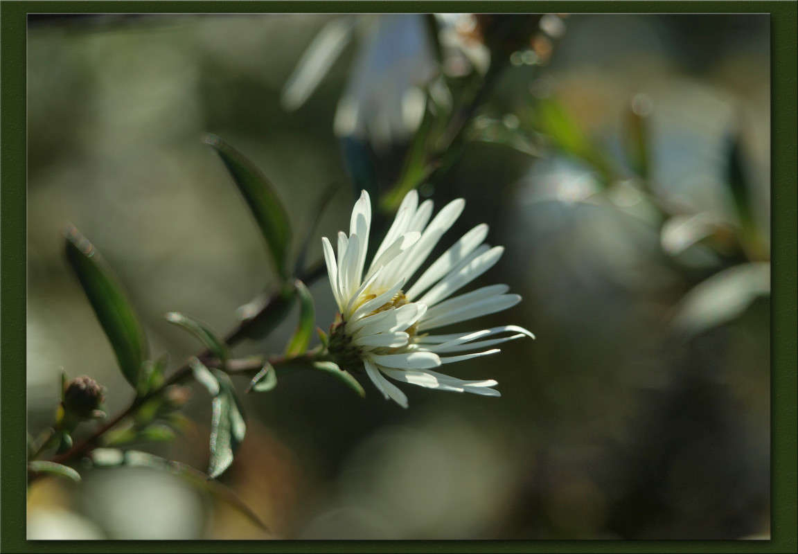 ��������� ���� ����� 44 ����� ������  �� PhotoGeek.ru #������ ��� �������