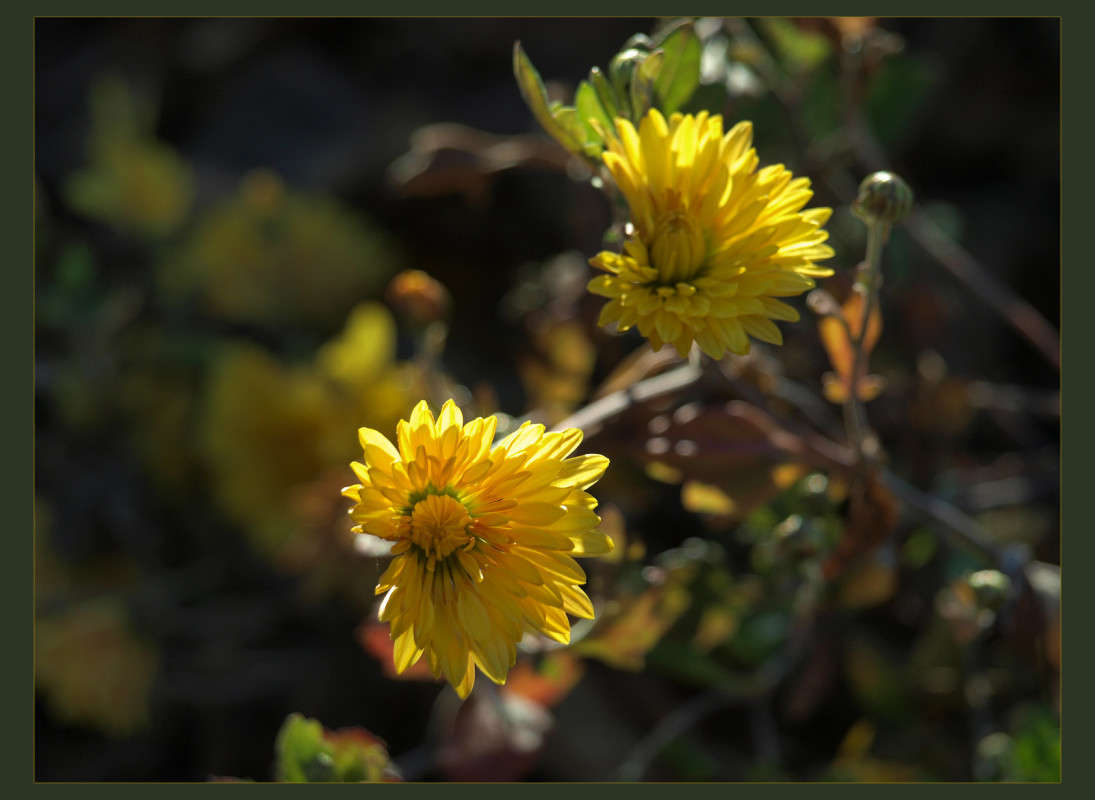 ��������� ���� ����� 45 ����� ������  �� PhotoGeek.ru #������ ��� �������