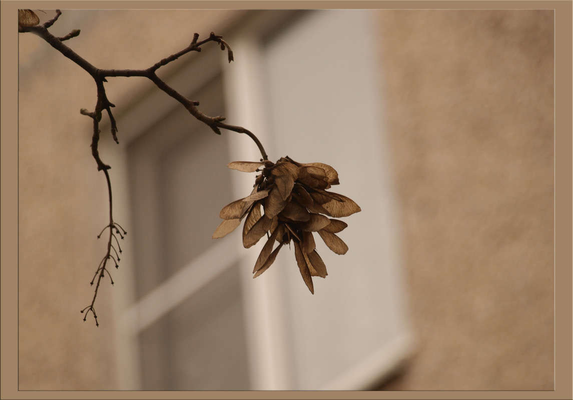 �������� � ������ 5 ����� ������  �� PhotoGeek.ru #������ ��� �������