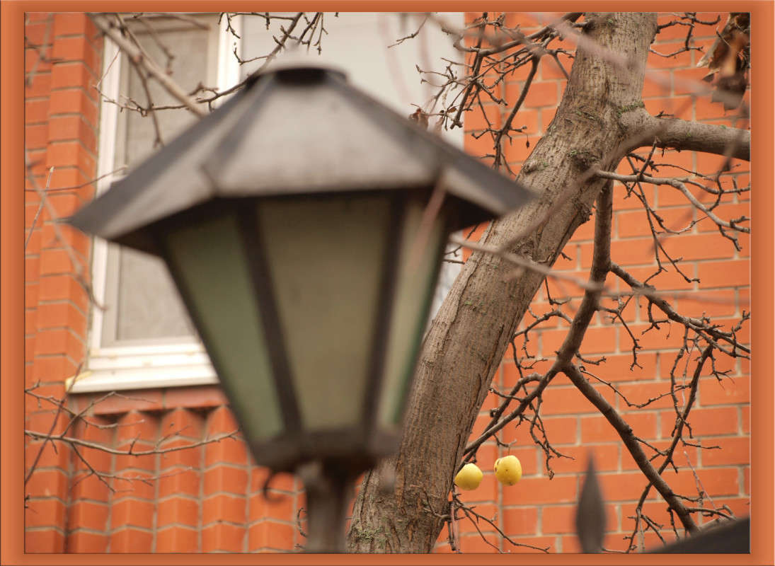 ��� ������ ������ ����� ������  �� PhotoGeek.ru #������ ��� �������