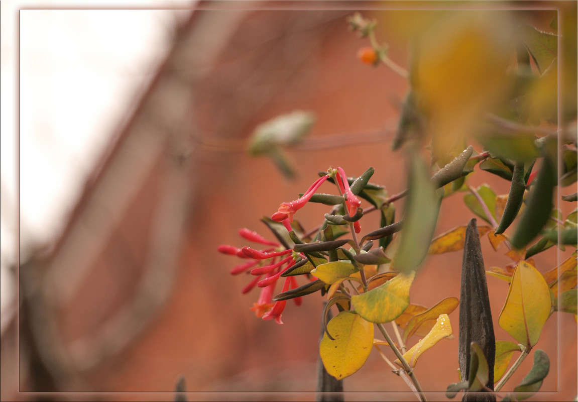 ����������� �������� ����� ������  �� PhotoGeek.ru #������ ��� �������