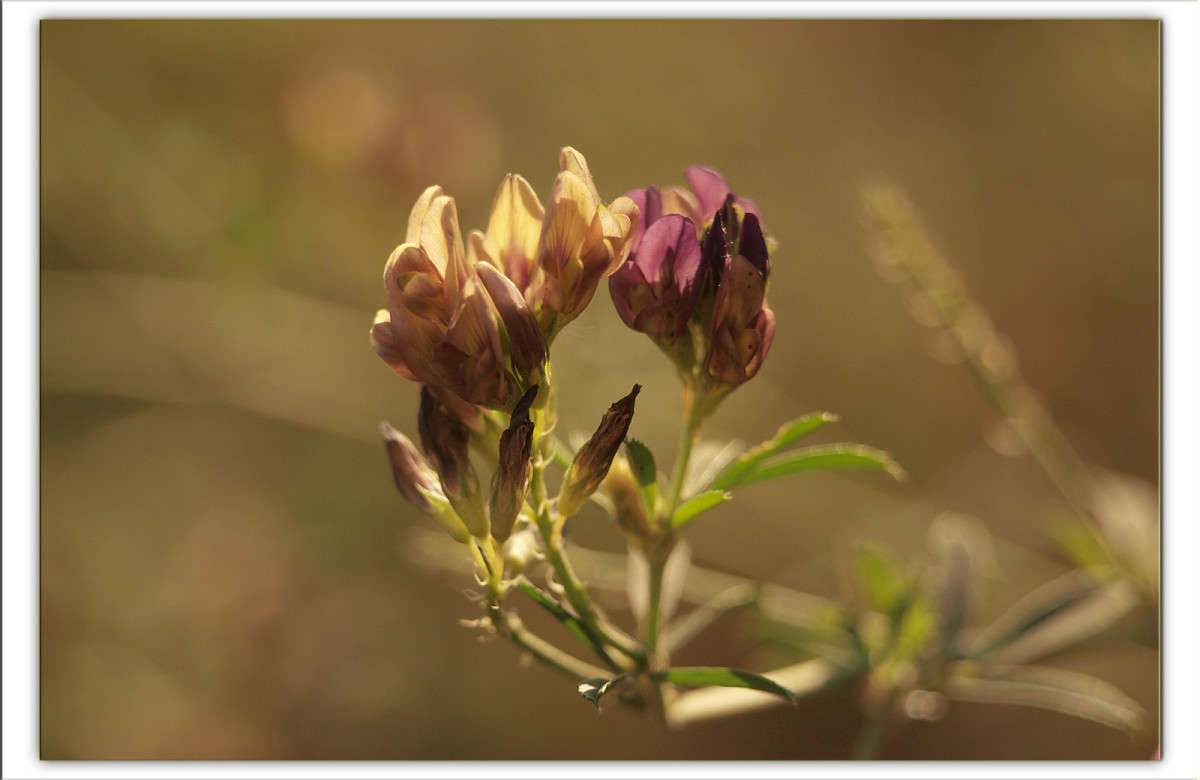 ����� ��� �� ���������� ���� 3 ����� ������  �� PhotoGeek.ru #������ ��� �������