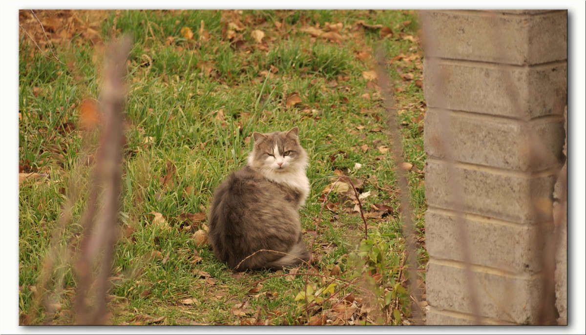 � �������� ����� ������  �� PhotoGeek.ru #�������� ���