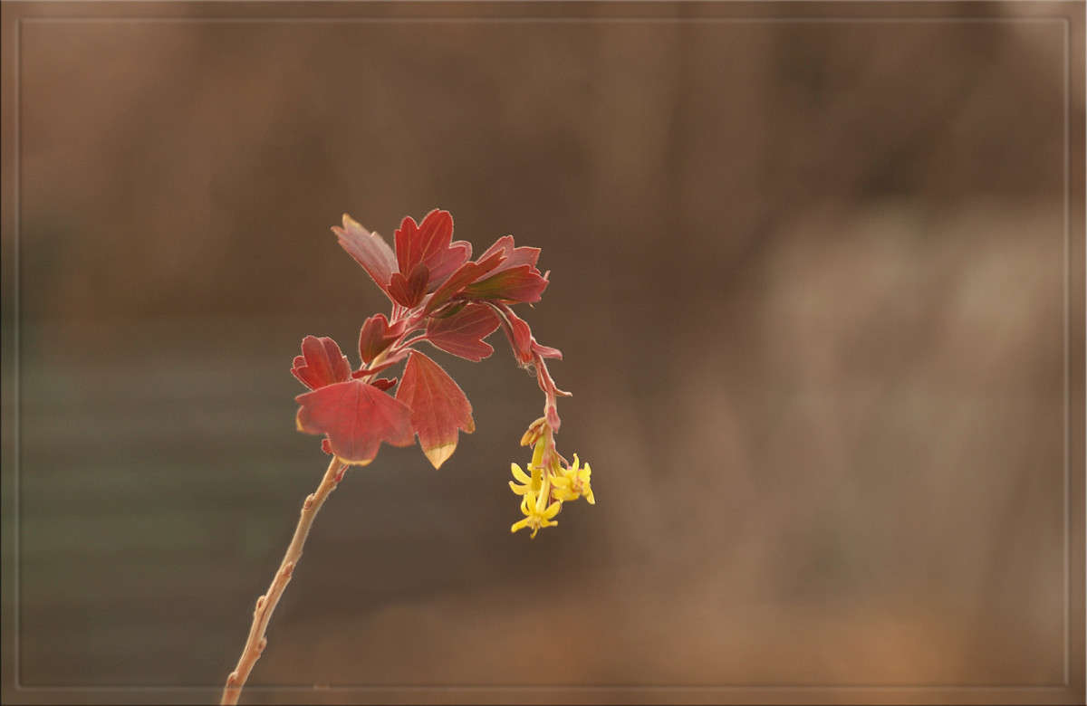 �������� ��������� 6 ������� ����� ������  �� PhotoGeek.ru #������ ��� �������