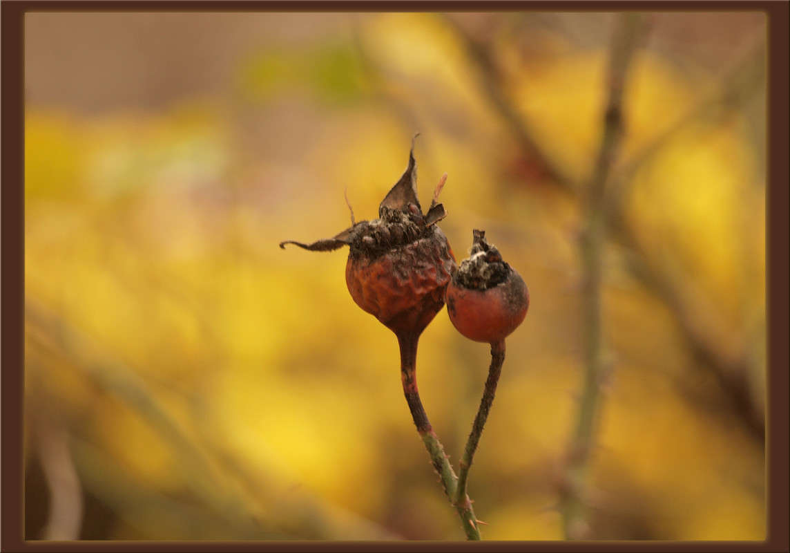 �� ���� ���������� ������ ����� ������  �� PhotoGeek.ru #������ ��� �������