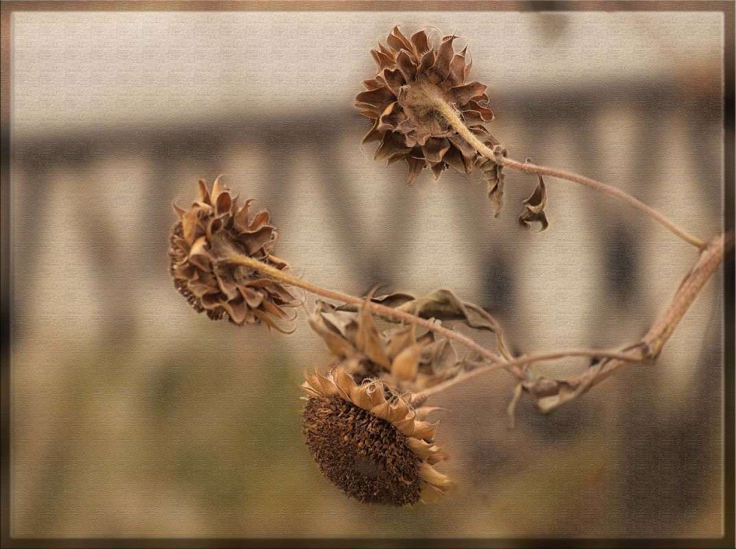 ����� � ������� ����� ������  �� PhotoGeek.ru #������ ��� �������