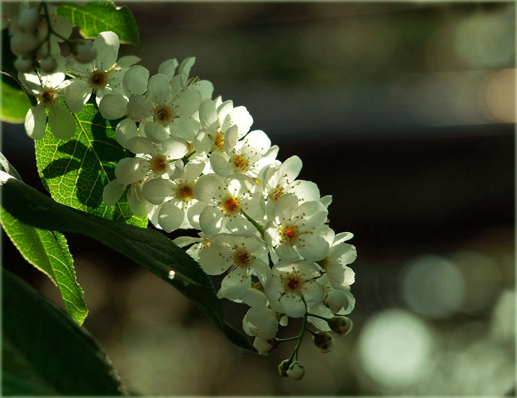 ... ����� ������  �� PhotoGeek.ru #������ ��� �������