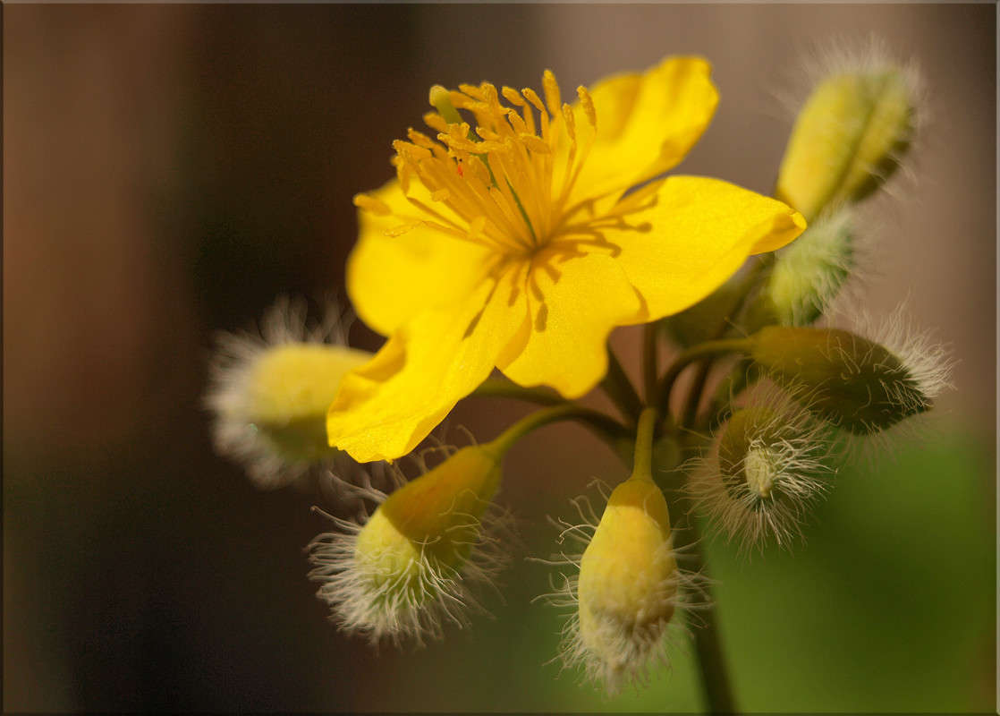 �������� ������ ����� ������  �� PhotoGeek.ru #�����