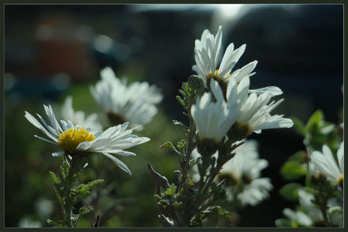 ��� ����������� ������� ����� ������  �� PhotoGeek.ru #������ ��� �������