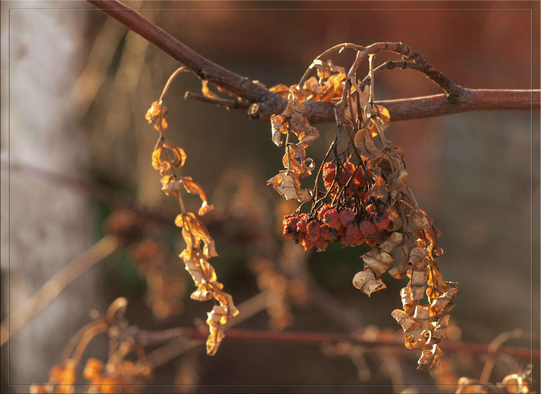 ��� ����������� ������� 2 ����� ������  �� PhotoGeek.ru #������ ��� �������