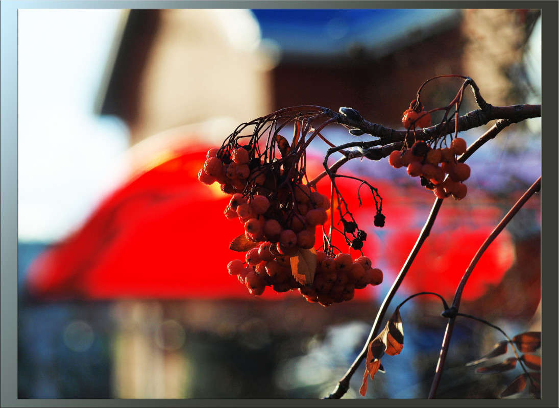 ��� ����������� ������� 3 ����� ������  �� PhotoGeek.ru #������ ��� �������