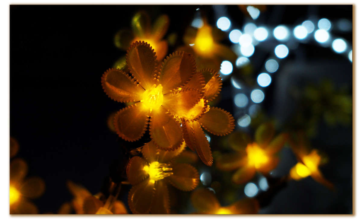 ���������� ��������� ����� ������  �� PhotoGeek.ru #�������� ����������