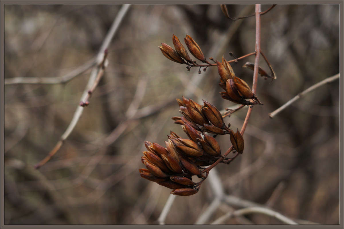 ������� ����� ������� ����� ������  �� PhotoGeek.ru #������ ��� �������