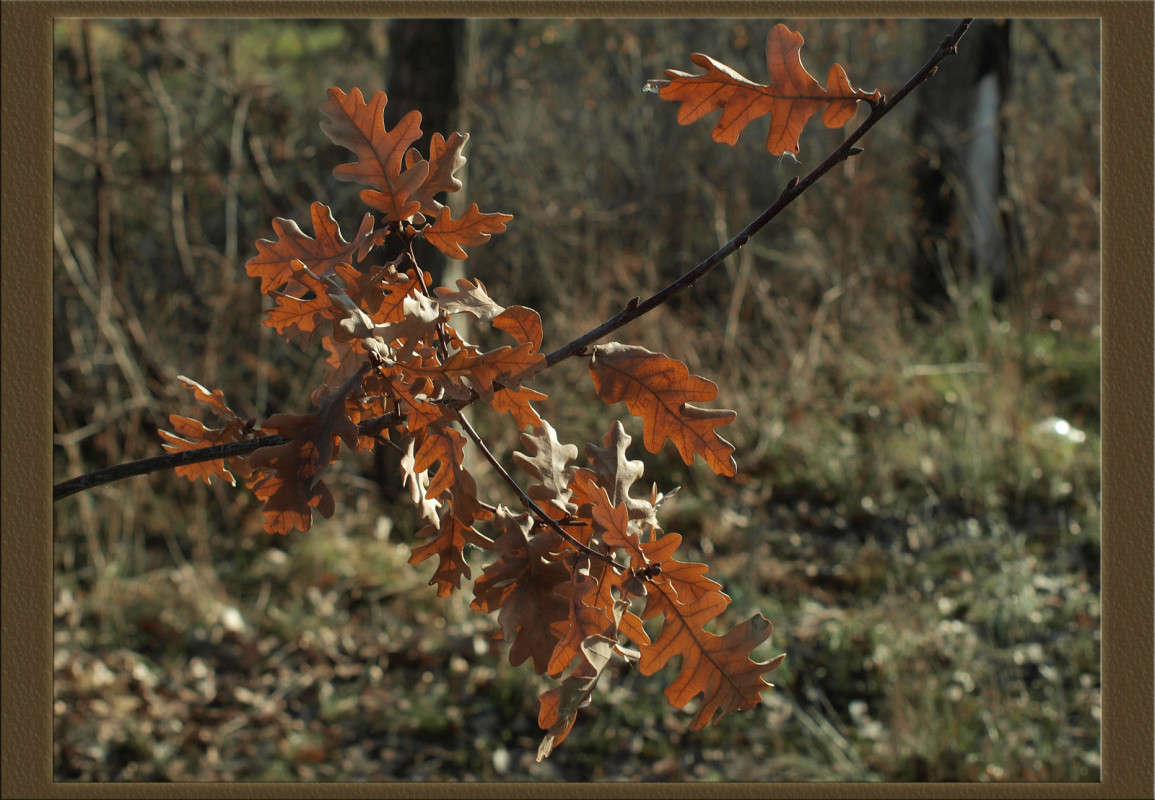 ������� ������� ������ 4 ����� ������  �� PhotoGeek.ru #������ ��� �������