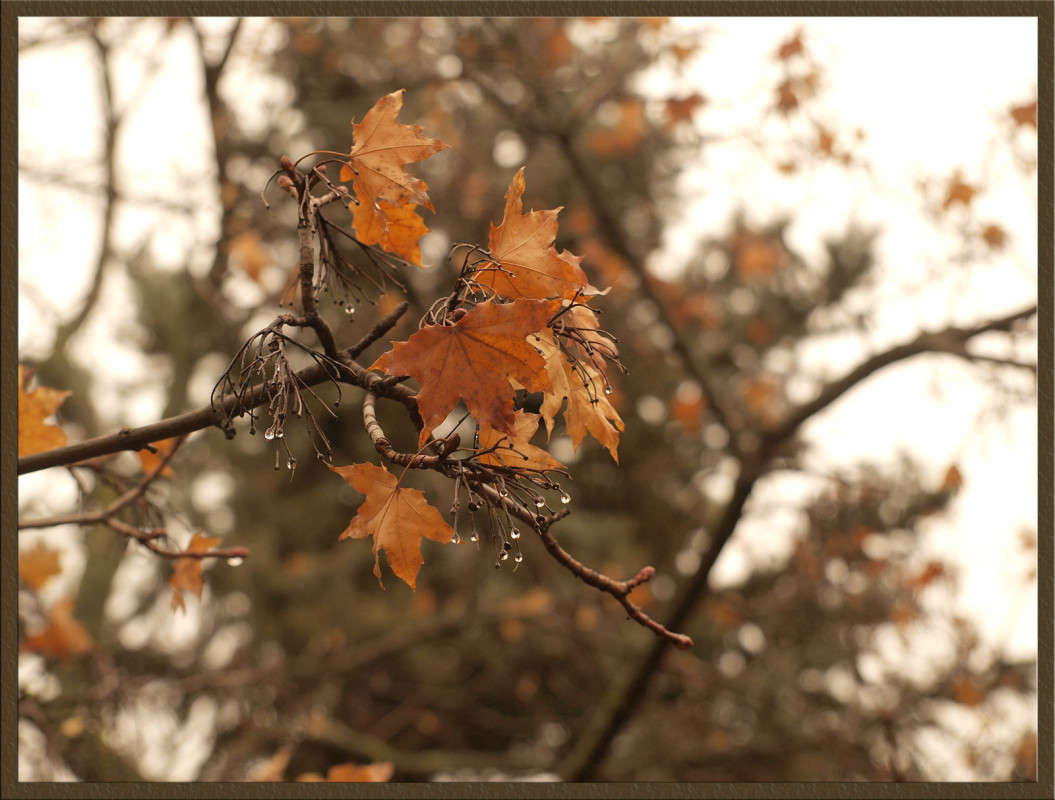 ������� ������� ������ 3 ����� ������  �� PhotoGeek.ru #������ ��� �������