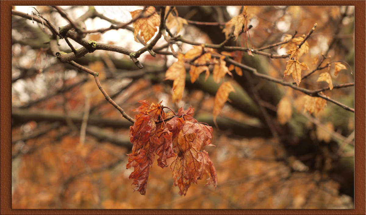 ������� ������� ������ 2 ����� ������  �� PhotoGeek.ru #������ ��� �������