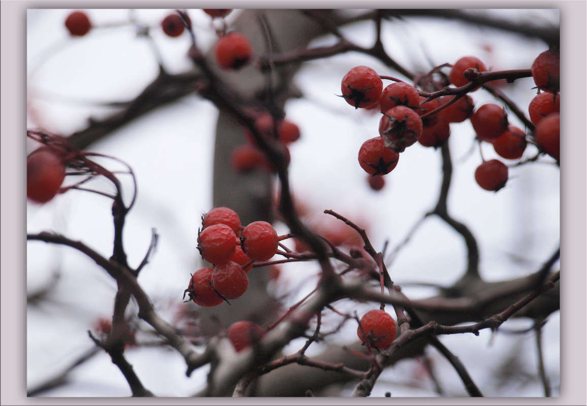 ������ �������� ����� ����� ������  �� PhotoGeek.ru #������ ��� �������