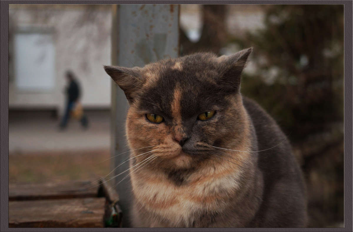 ��� ������������ ����� ������  �� PhotoGeek.ru #�������� ���