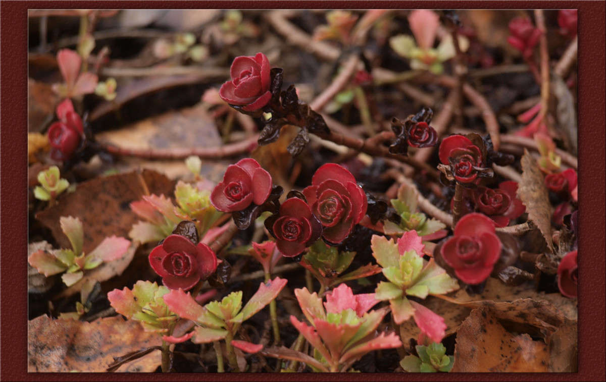 ��� ����� ��� ���� ����� ������  �� PhotoGeek.ru #������ ��� �������