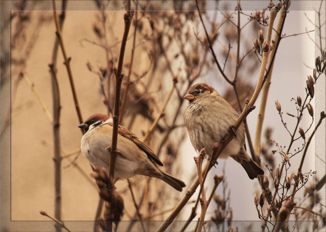 ��������� ������ � ���������� ����� ������  �� PhotoGeek.ru #�������� ���