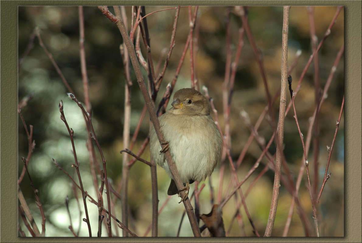 � �� ������� ���� ����� ������  �� PhotoGeek.ru #�������� ���