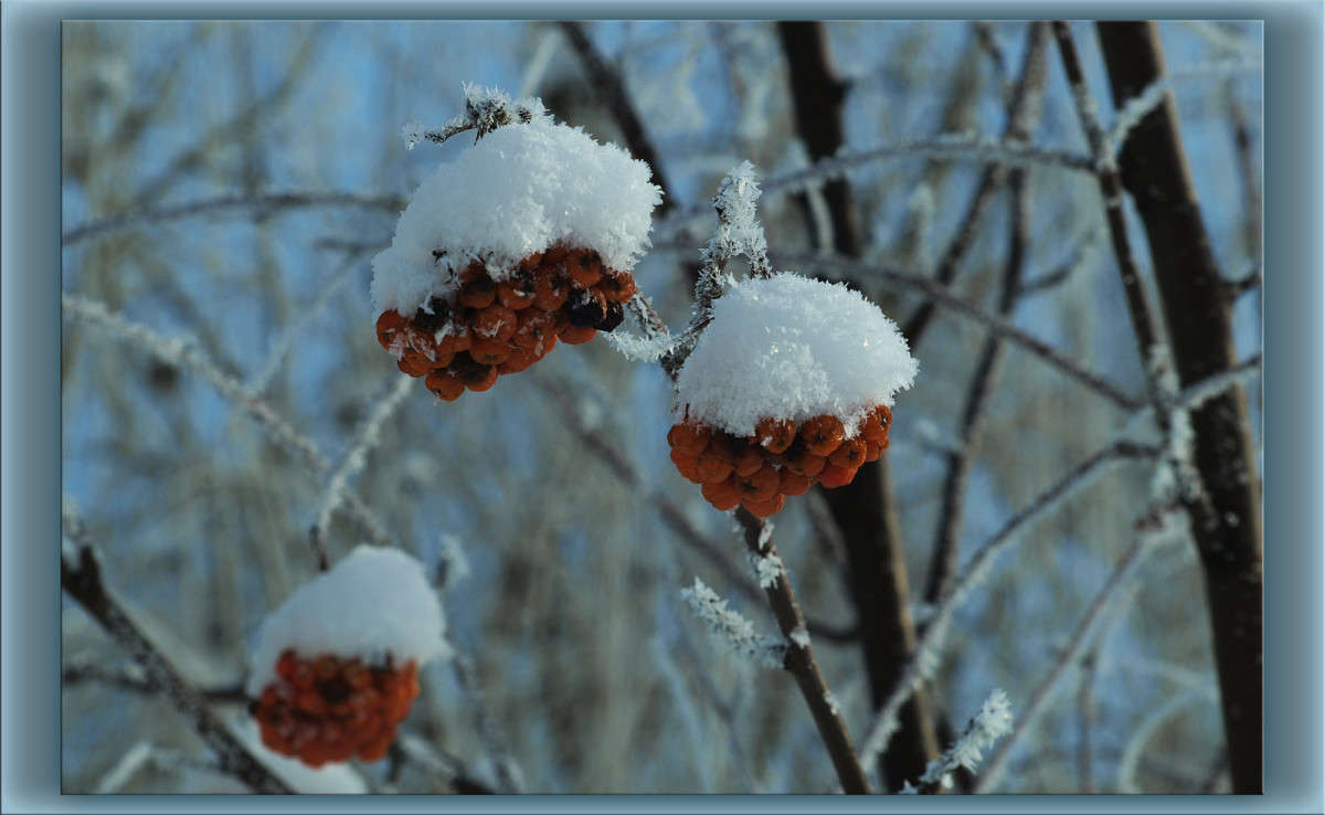 ������ ���� 2016 ����� ������  �� PhotoGeek.ru #������ ��� �������