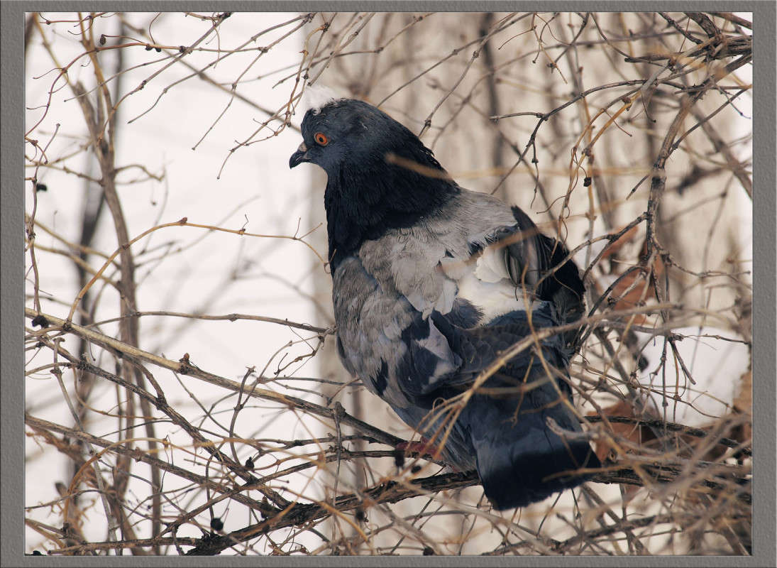 �� ������� �������� ����� ������  �� PhotoGeek.ru #�������� ���