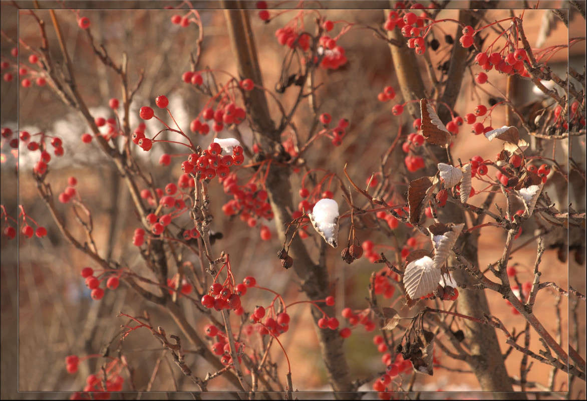 ������ ��������� ����� ������  �� PhotoGeek.ru #������ ��� �������