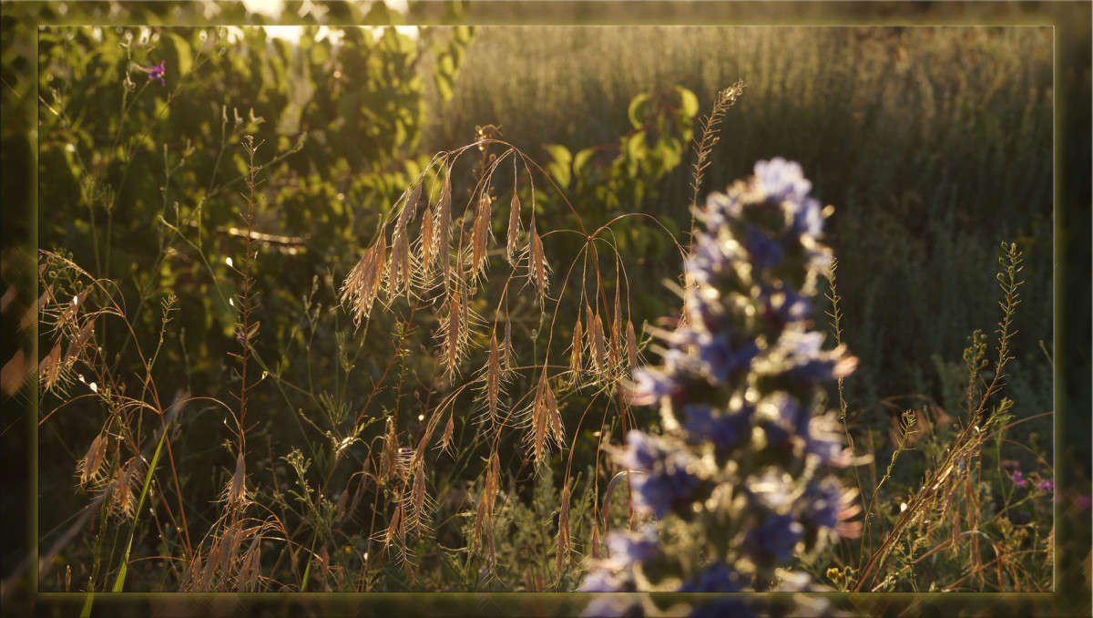 ������� ���������� ���� ����� ������  �� PhotoGeek.ru #������ ��� �������