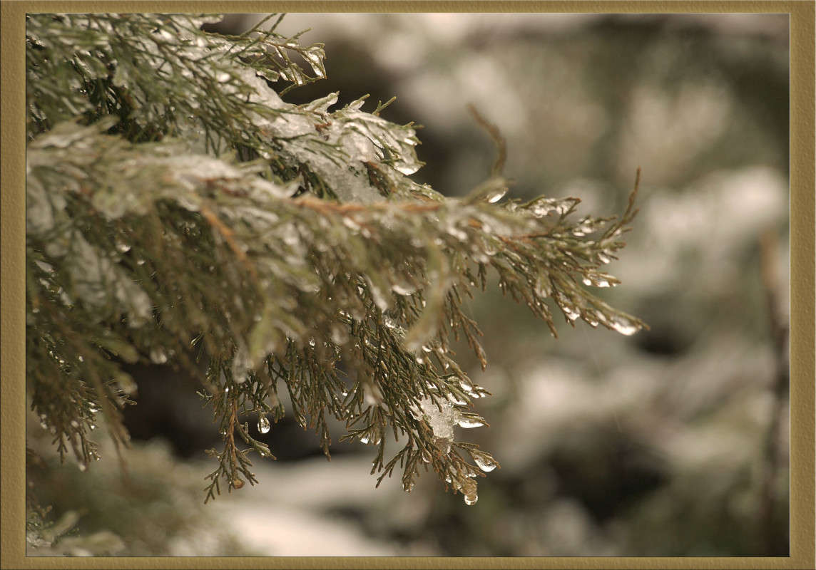 ���������� ����� ��������� ����� ������  �� PhotoGeek.ru #������ ��� �������